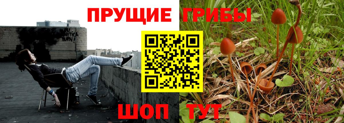 Галлюциногенные грибы GOLDEN TEACHER Старая Купавна
