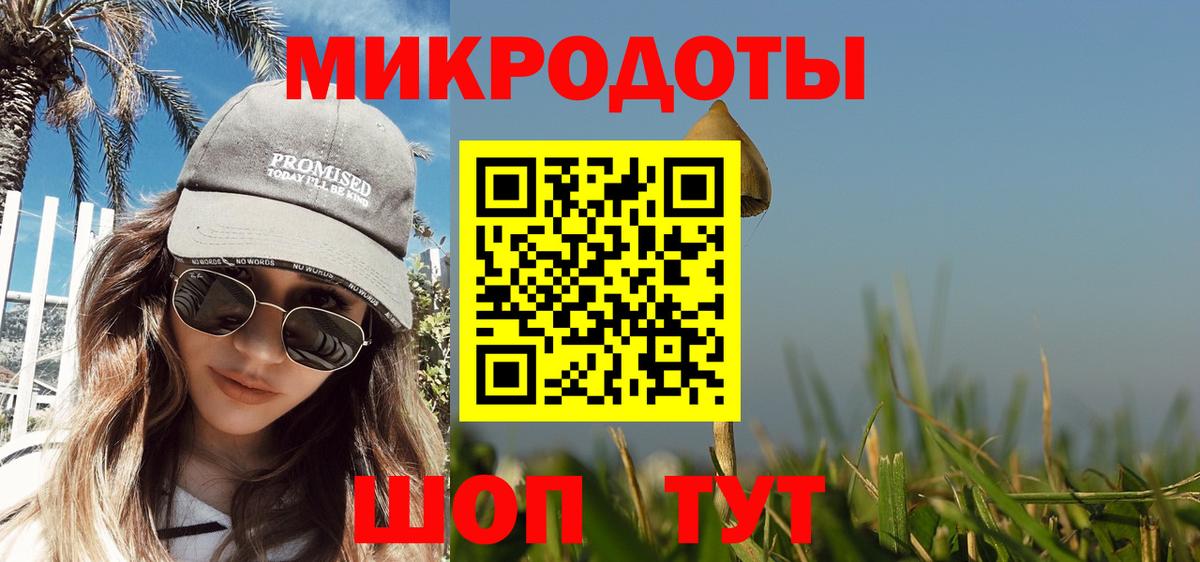 Псилоцибиновые грибы Psilocybe  Вход с VPN  Старая Купавна 